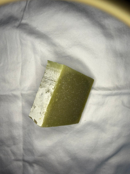 Florida Man